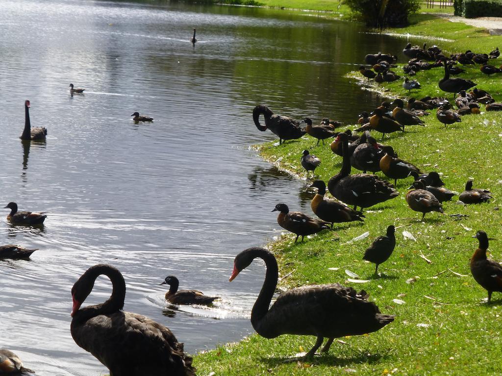 Lakeside Bed & Breakfast Perth Zewnętrze zdjęcie